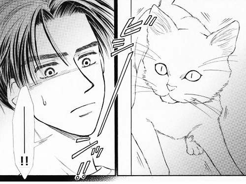 �R�y�[�W��