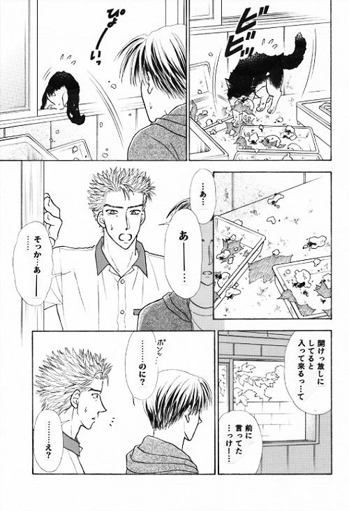 �R�y�[�W��